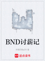 BND讨薪记