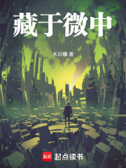 藏于微中在线阅读