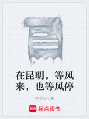 在昆明，等风来，也等风停在线阅读