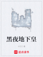 黑夜地下皇