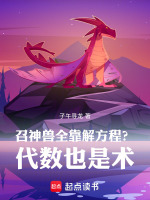 召神兽全靠解方程？代数也是术在线阅读