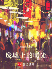 废墟上的暖光在线阅读