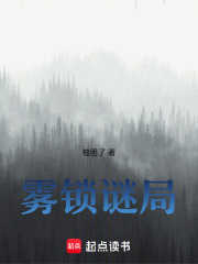 雾锁谜局在线阅读