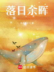 落日余晖在线阅读