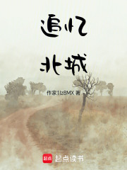 追忆北城在线阅读