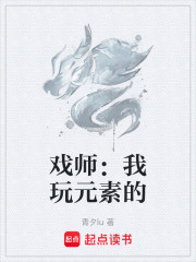 戏师：我玩元素的在线阅读