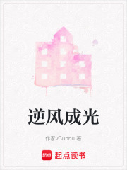 逆风成光在线阅读