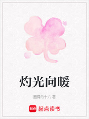 灼光向暖在线阅读