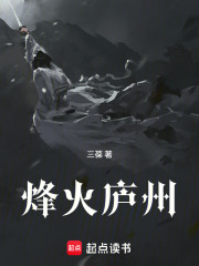 烽火庐州在线阅读