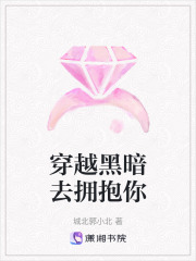 穿越黑暗去拥抱你在线阅读