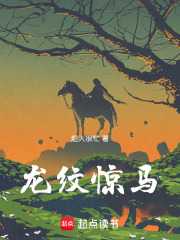龙纹惊马记在线阅读