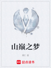 山巅之梦在线阅读