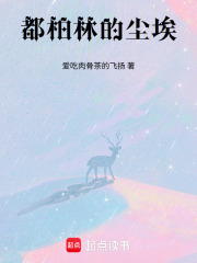 都柏林的尘埃在线阅读