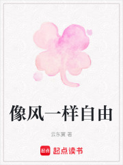 像风一样自由在线阅读