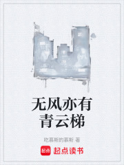 无风亦有青云梯在线阅读