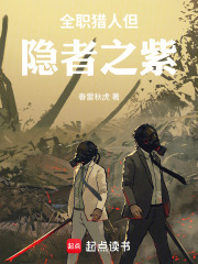 全职猎人，但隐者之紫在线阅读