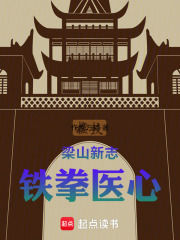 梁山新志：铁拳医心在线阅读