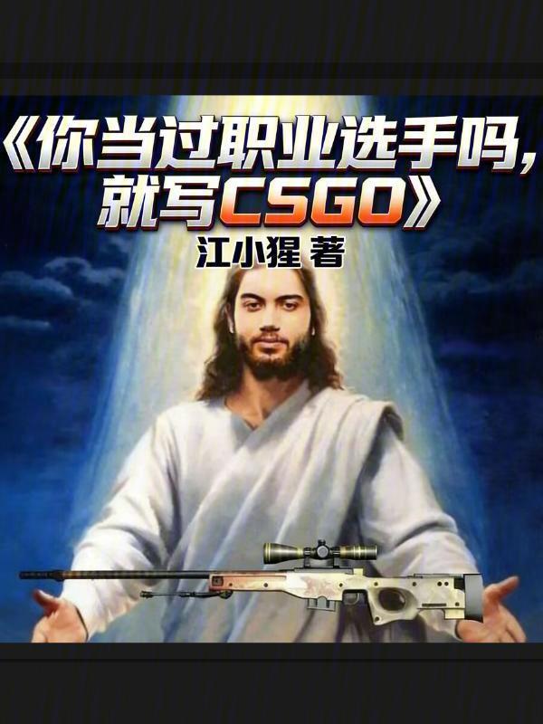 CS：开局零封somebody(江小猩)小说在线阅读-首发起点中文网