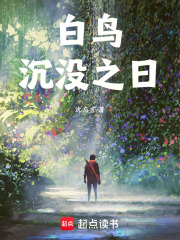 白鸟沉没之日在线阅读