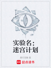 实验名：迷宫计划在线阅读