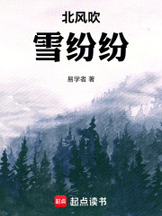 北风吹雪纷纷