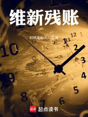 维新残账在线阅读