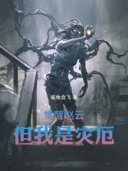 觉醒赵云，但我是灾厄