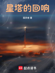星塔的回响：锁与镜在线阅读