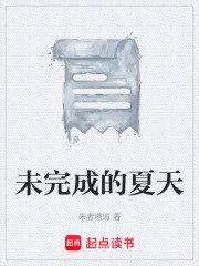 未完成的夏天在线阅读