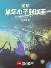 足球：从坏小子到球王在线阅读