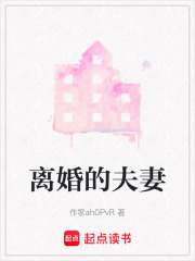 离婚的夫妻在线阅读