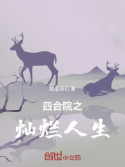 四合院之最强指导员