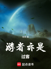 游者亦是过客在线阅读