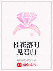 桂花落时见君归