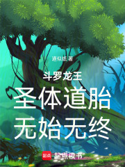 斗罗龙王：圣体道胎，无始无终