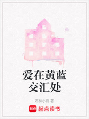 爱在黄蓝交汇处在线阅读