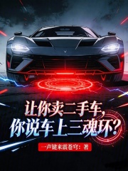 让你卖二手车，你说车上三魂环？在线阅读