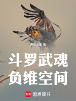 斗罗武魂负维空间最新章节在线阅读
