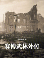 赛博武林外传封面