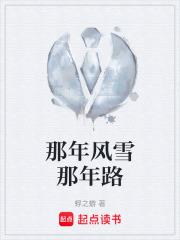 那年风雪那年路在线阅读