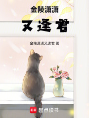 金陵潇潇又逢君在线阅读