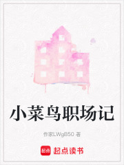 小菜鸟职场记在线阅读