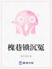 槐巷锁沉冤在线阅读