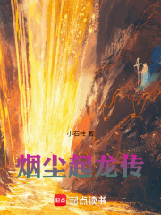 烟尘起龙传在线阅读