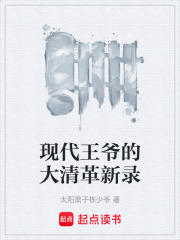 现代王爷的大清革新录在线阅读