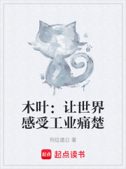 木叶：让世界感受工业痛楚在线阅读