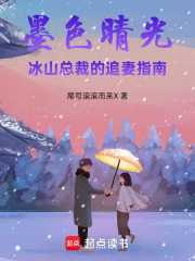 墨色晴光，冰山总裁的追妻指南在线阅读