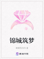 锦城筑梦在线阅读