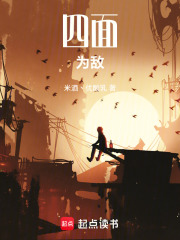 四面为敌在线阅读