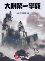 大明第一掌教封面